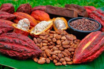 Ingredientes ecuatorianos